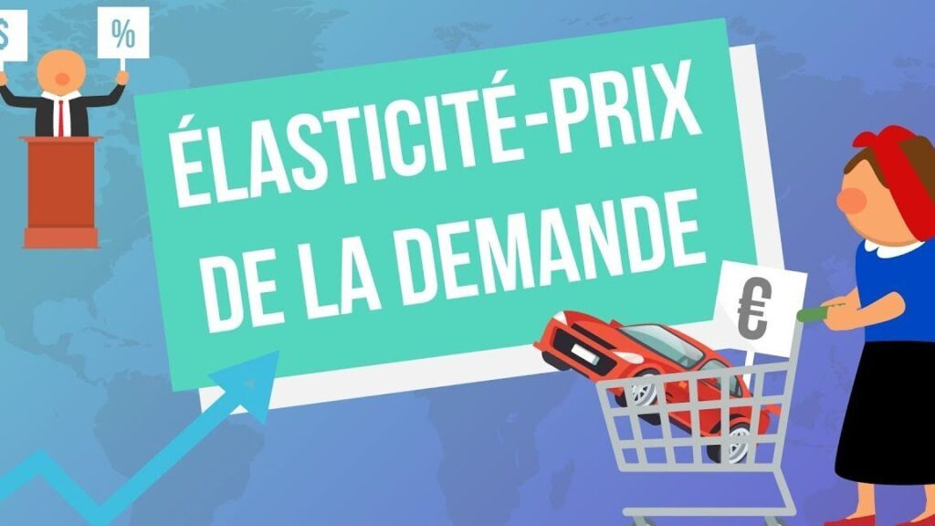 Comprendre l’élasticité prix de la demande : exercices corrigés pour maîtriser le concept