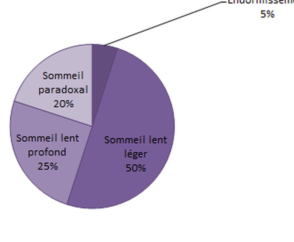 Combien d’heures de sommeil profond faut-il vraiment?