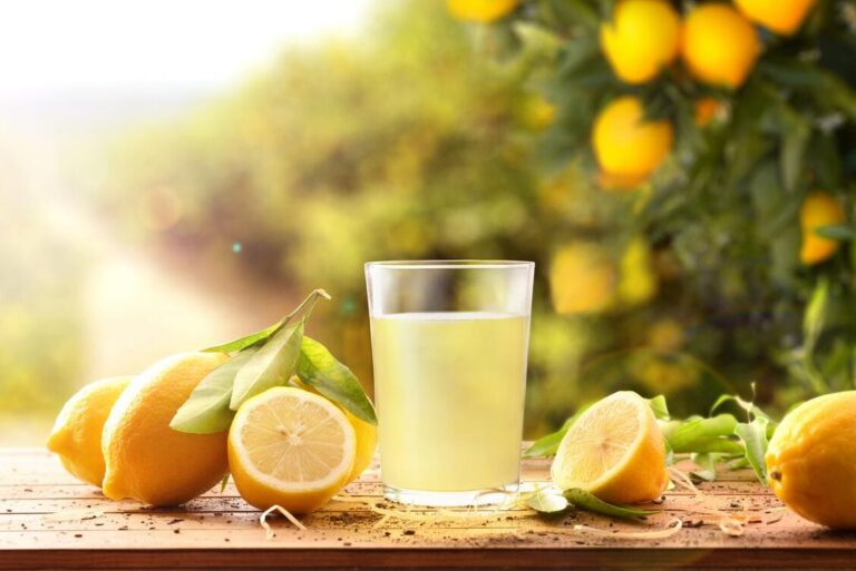 le-jus-de-citron-est-il-recommande-pour-les-jeunes-intermittent
