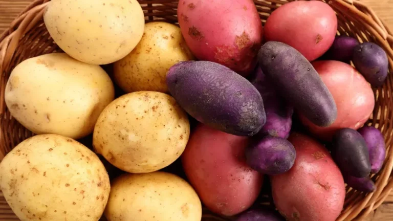 les-pommes-de-terre-peuvent-elles-etre-considerees-comme-un-medicament