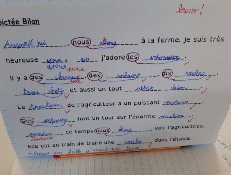 comment-reussir-son-devoir-sur-le-marche-en-classe-de-seconde-guide-et-corriges-detailles