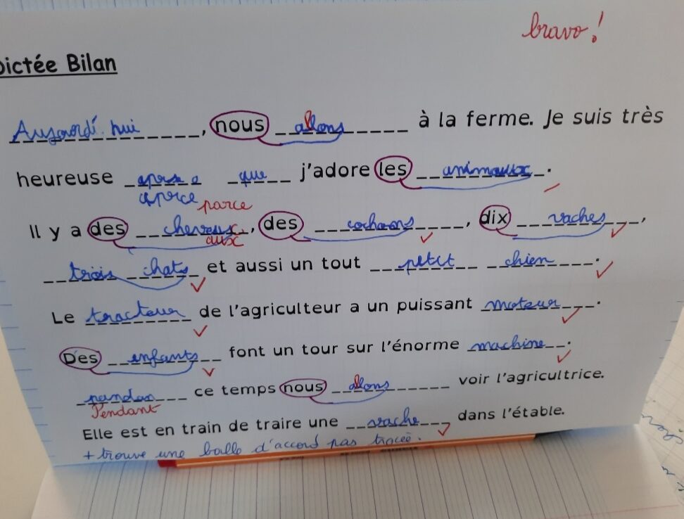 Comment réussir son devoir sur le marché en classe de seconde : guide et corrigés détaillés