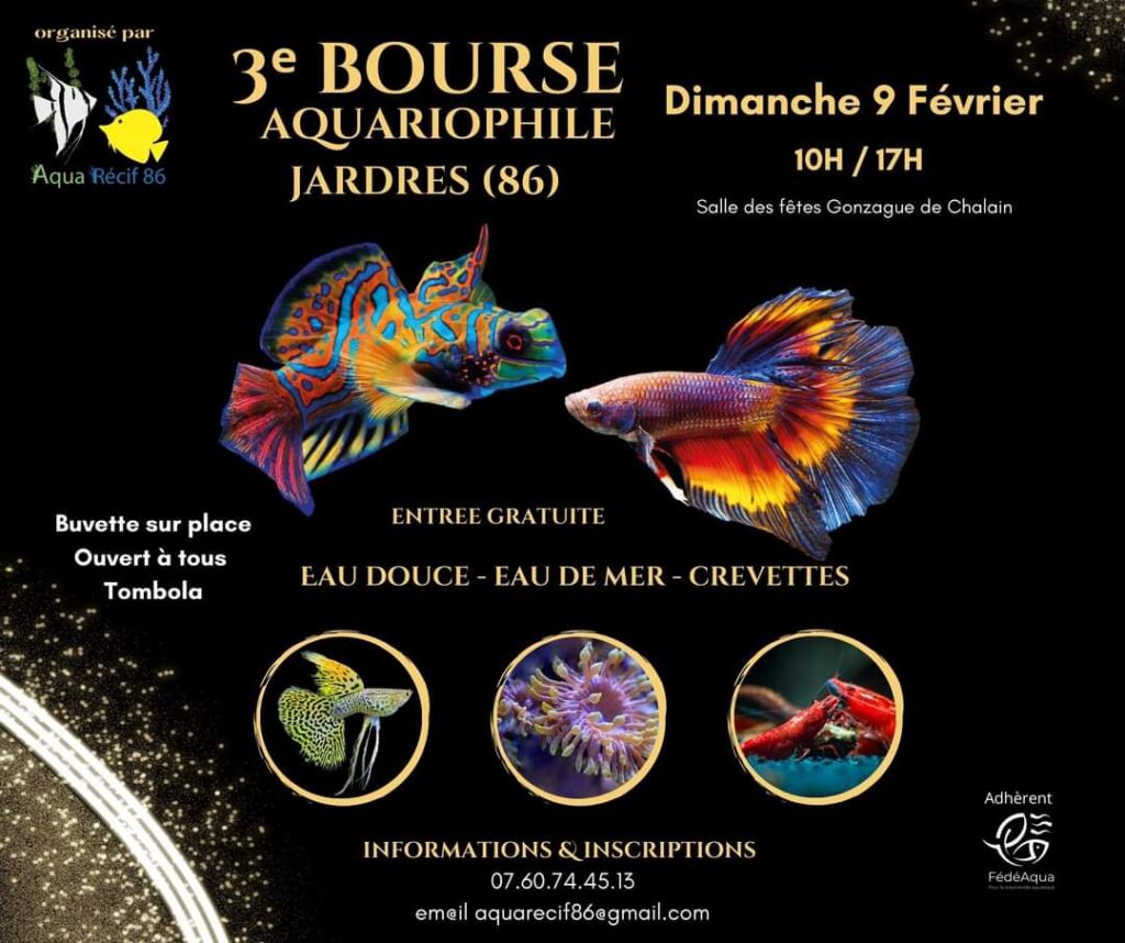 Affiche promotionnelle de la bourse aquariophile Aqua Récif 86, un événement incontournable pour les passionnés d'aquariophilie en 2024.