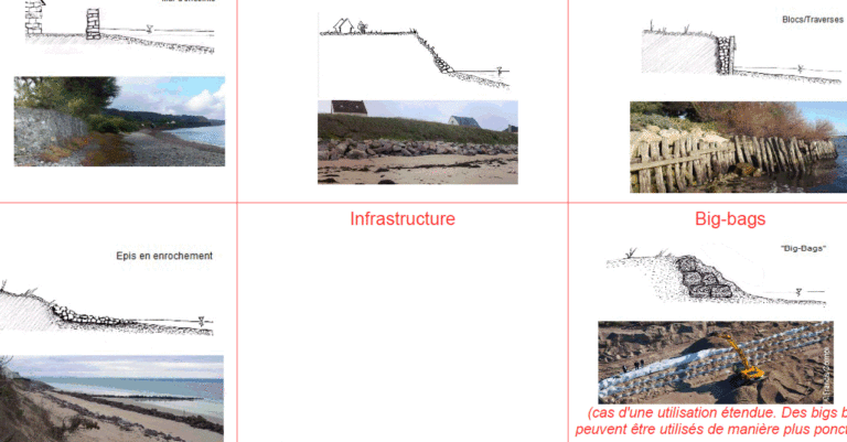 comment-les-dunes-dassurances-transforment-elles-le-paysage-de-la-protection-financiere