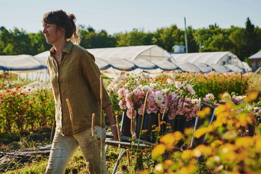 Comment investir dans les tulipes : guide d’achat complet
